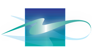 blue gypsy homebuilder marketing logo