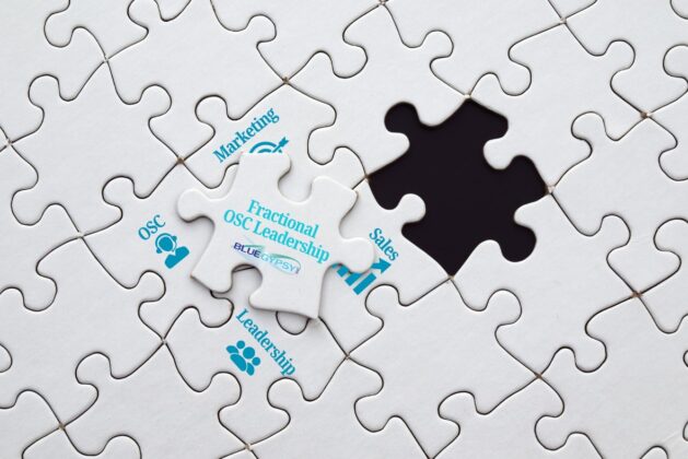 A white jigsaw puzzle with one loose piece reading Fractional OSC Leadership and the Blue Gypsy logo, ready to fill the missing gap